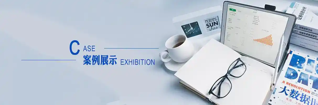 桦川县软件开发